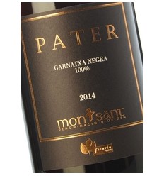 Pater 2014 - Montsant 2